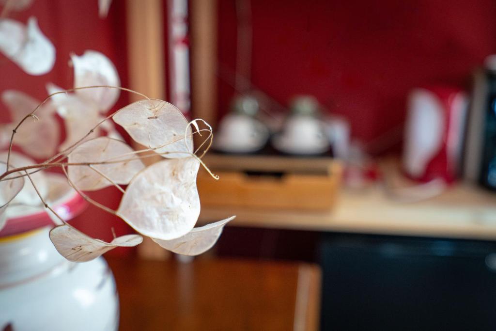 Il Magnifico Firenze - 8