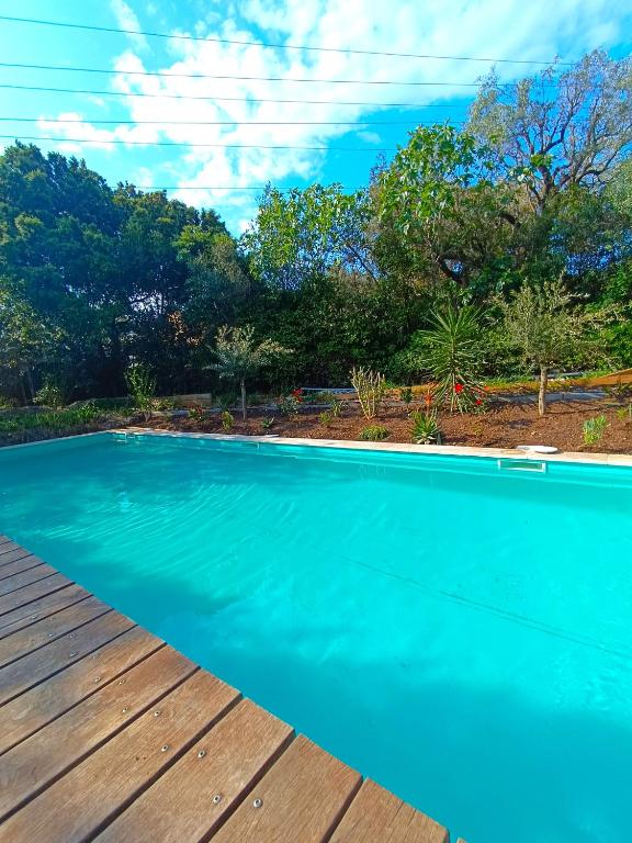 une piscine bleue avec une terrasse en bois dans l'établissement Maison du Partégal, à La Valette-du-Var