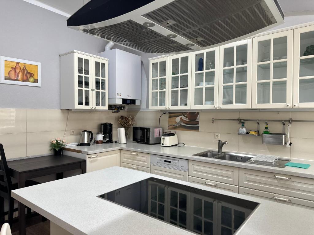 Kuchyň nebo kuchyňský kout v ubytování Apartments Oschatz