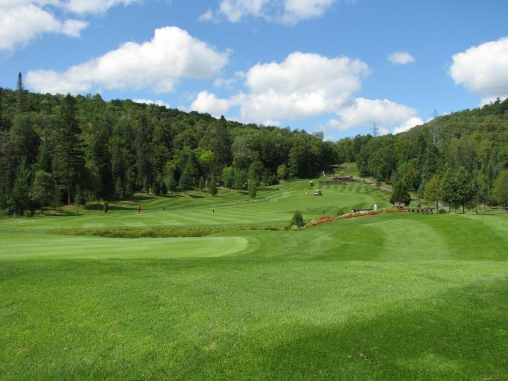 Golf v chaty nebo okolí