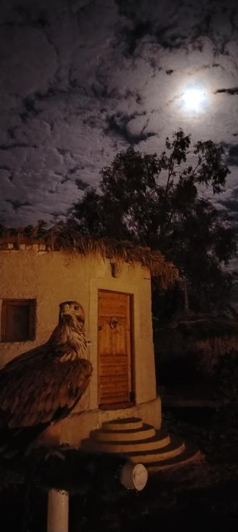 Fotografie z fotogalerie ubytování Tijan Siwa v destinaci Siwa