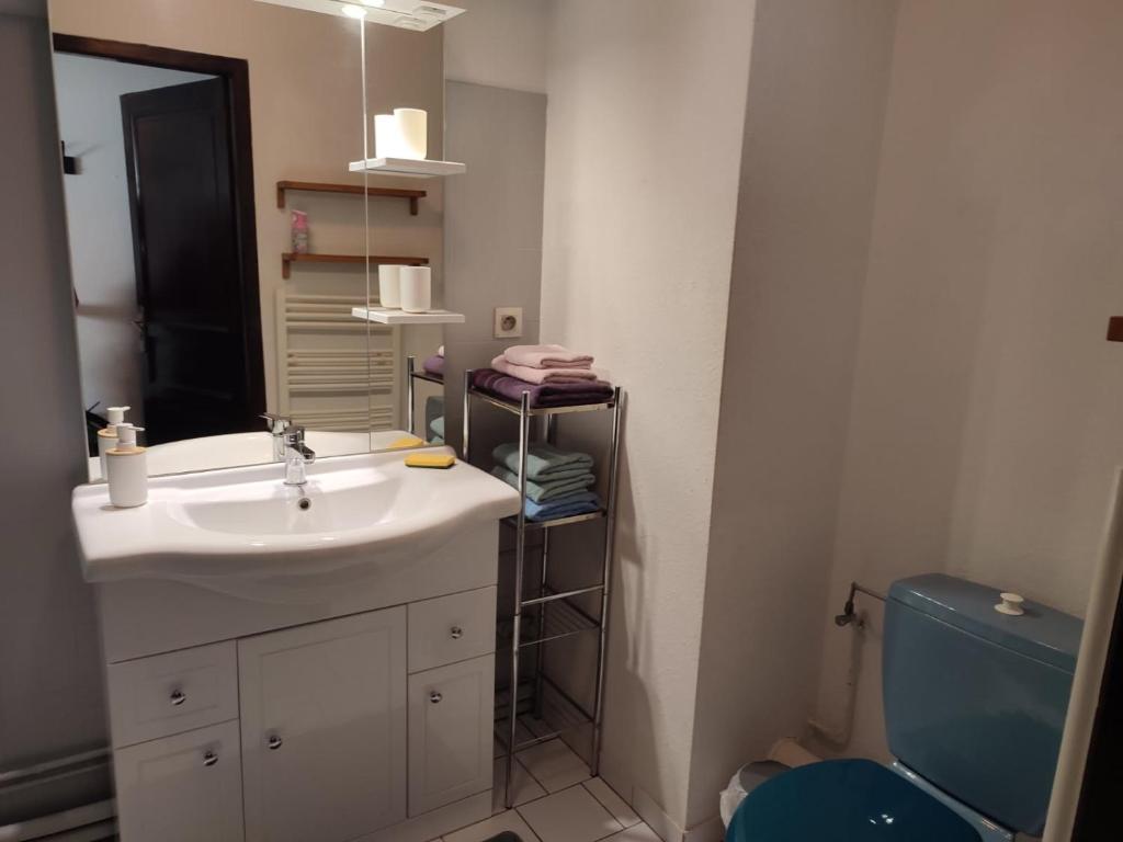 F2 Florival 45m2, avec terrasse, route du vin et free parking – photo 13