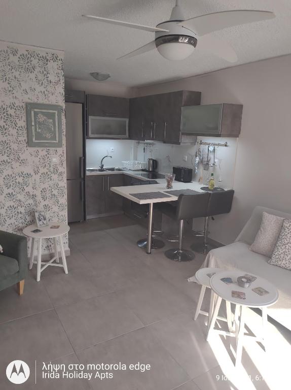A kitchen or kitchenette at Irida Holiday Apartments