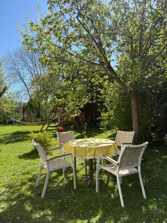 Zahrada ubytování Gemütliche Wohnung in unmittelbarer Nähe zum See