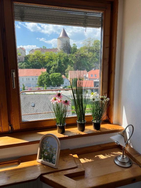 a window with potted plants on a window sill at Top Lage Krems - 100m2 - 2 Schlafzimmer mit Garage in Krems an der Donau