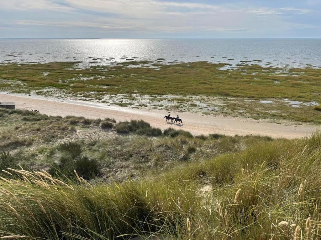 Gallery image of Meerblick Cafe Reiten Spielplätze Animation WLAN in Fanø