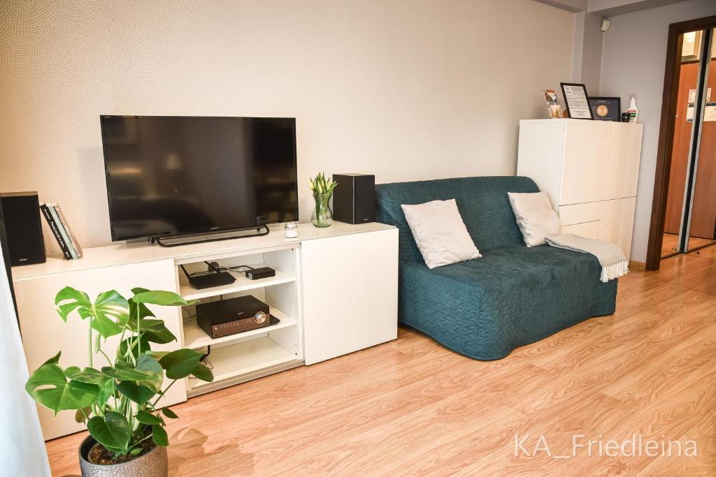 TV a/nebo společenská místnost v ubytování Kraków Apartments - Friedleina Studio Apartments