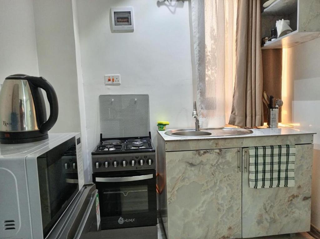 Η κουζίνα ή μικρή κουζίνα στο Tembo Homes Riverside Apartments