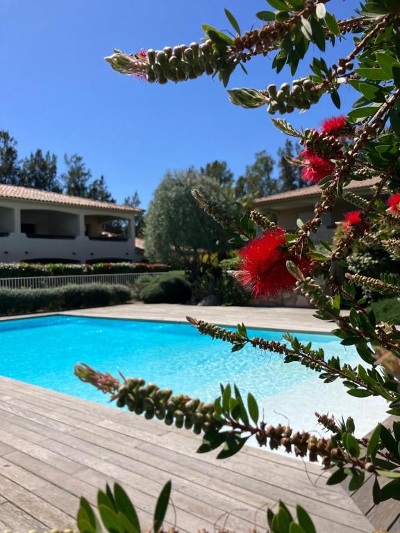 une piscine devant une maison dans l'établissement Les Jardins d’Alzetu, à Porto-Vecchio