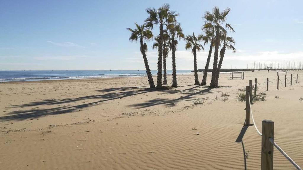 un gruppo di palme su una spiaggia sabbiosa di A fantastic apartment on the beach a Canet de Berenguer