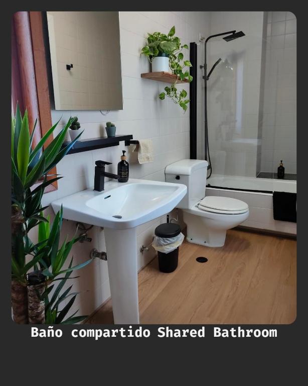 La Casa de la Abuela Boticaria - 16