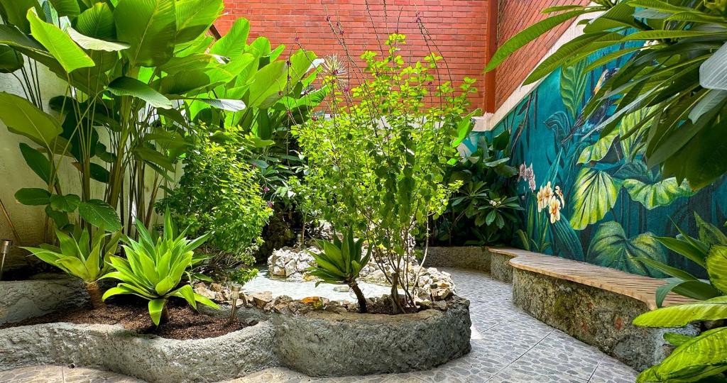 Zahrada ubytování Hotel Casa Laureles