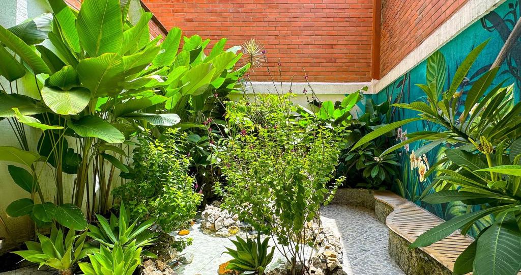 Zahrada ubytování Hotel Casa Laureles