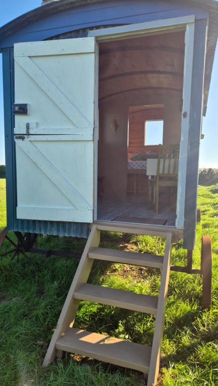 Saint IshmaelsCoast path camping的草地上有一架梯子的户外厕所