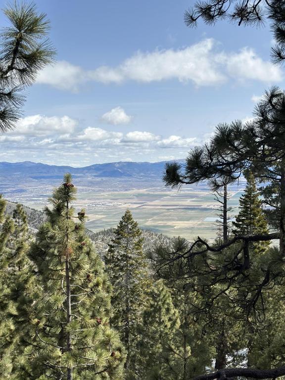 eine Gruppe von Kiefern auf einem Berggipfel in der Unterkunft HNC0617 - Stagecoach Summit Retreat condo in Stateline