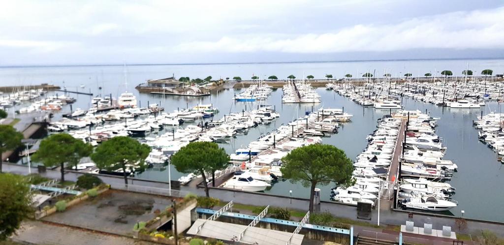un groupe de bateaux amarrés dans un port dans l'établissement 2 bedroom apartment, beautiful view, à Arcachon
