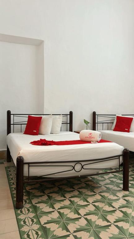 Hotel Margarita photo