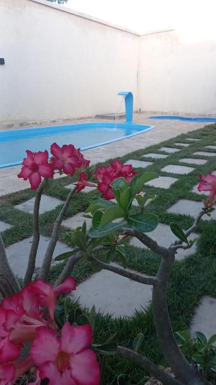 a plant with pink flowers next to a pool at Francisco das Chagas Andrade in Martins