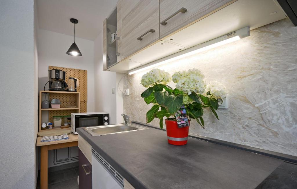 Kuchyňa alebo kuchynka v ubytovaní Cozy Home In Breznicki Hum
