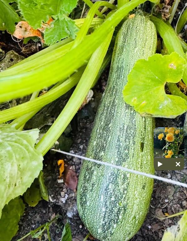 Delight at Golf - Resim 32