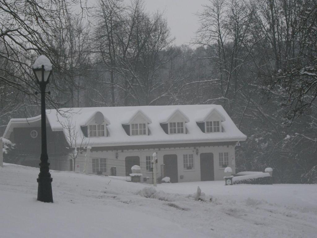 House situated on a magnificent estate v zimě