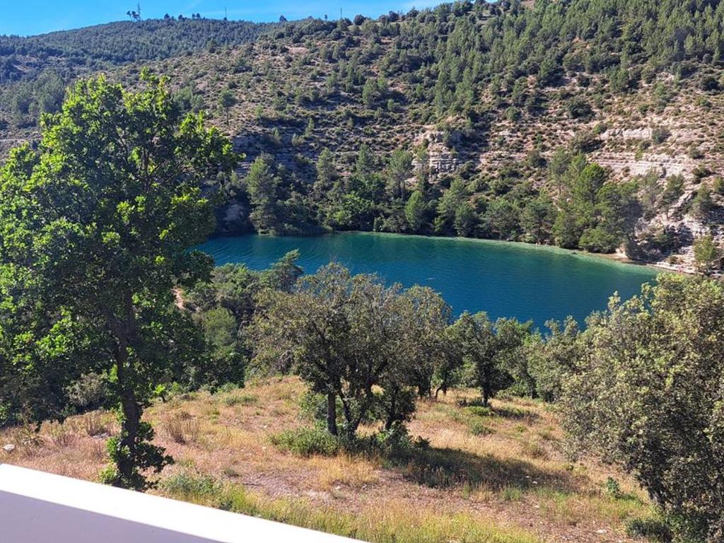 un lac au milieu d'une montagne plantée d'arbres dans l'établissement Studio 2/3 personnes près du lac avec animaux acceptés et parking - FR-1-822-18, à Esparron-de-Verdon