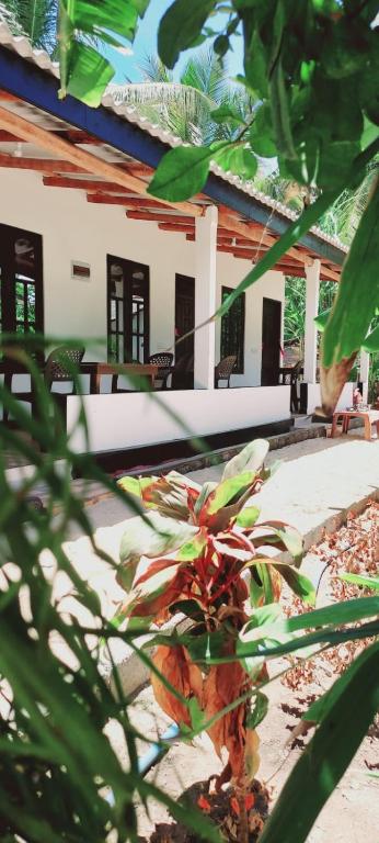 Zahrada ubytování Nilaveli Beach Rooms