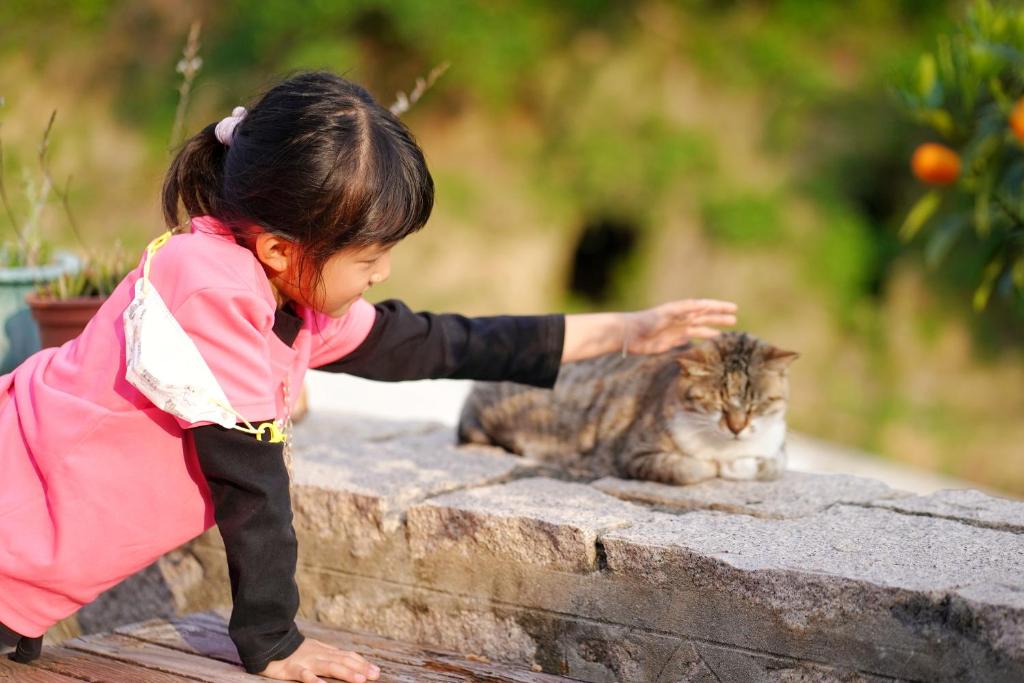 芹壁五家村民宿評價、藍眼淚導覽、手作早餐、接送服務 – 海景秘境體驗 - 照片 6
