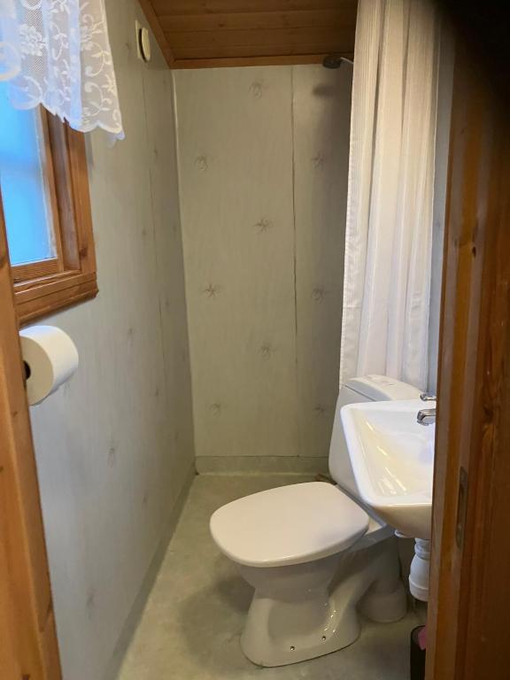 Koupelna v ubytování Aggarps Stugor