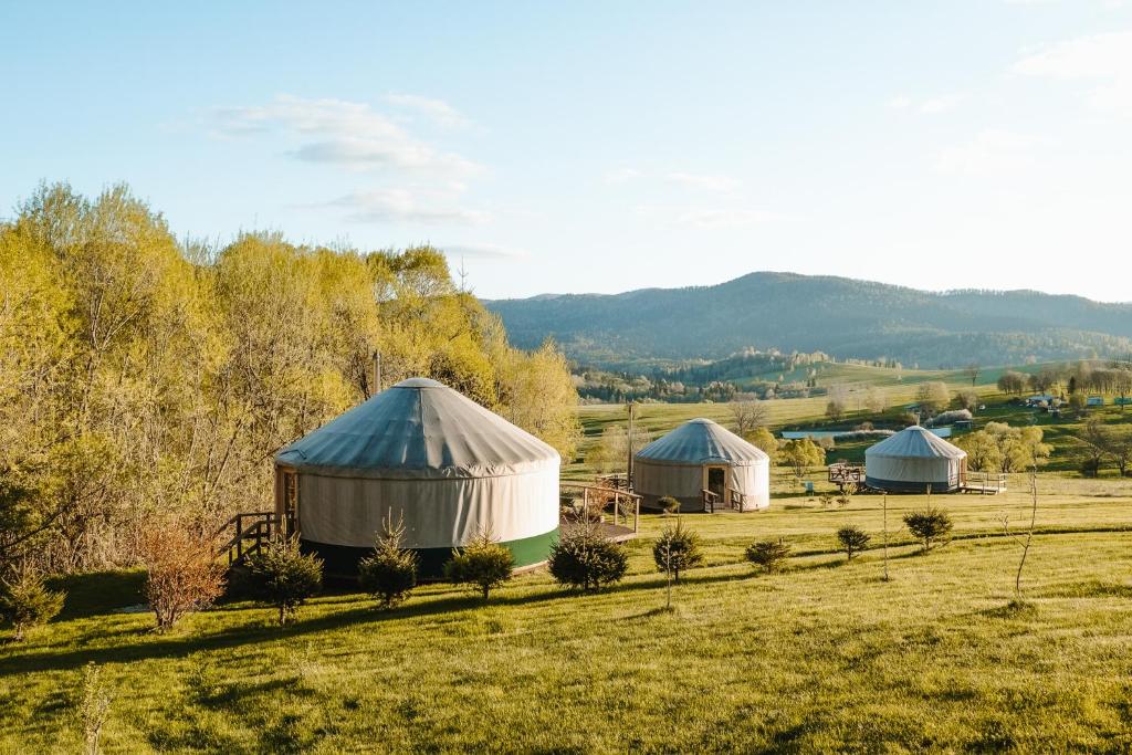 Příroda nedaleko luxury tent
