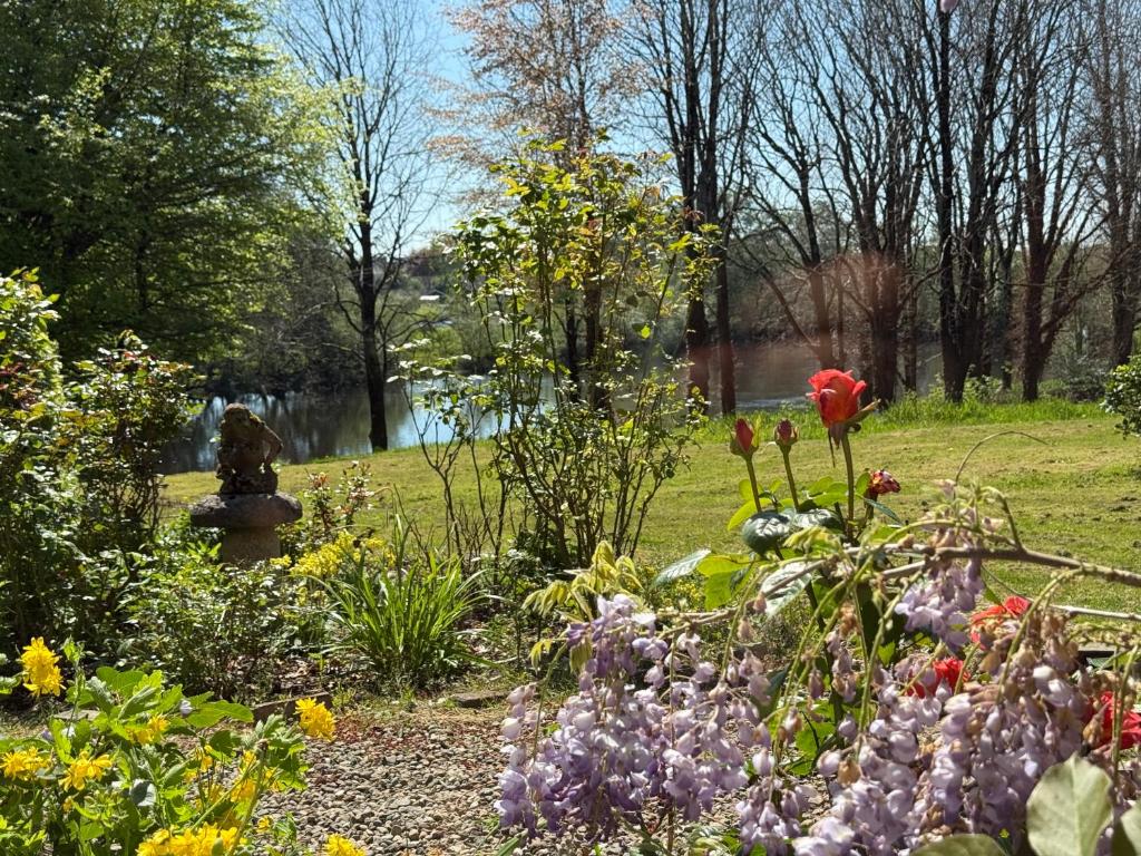 Zahrada ubytování Shannon River House & Gardens