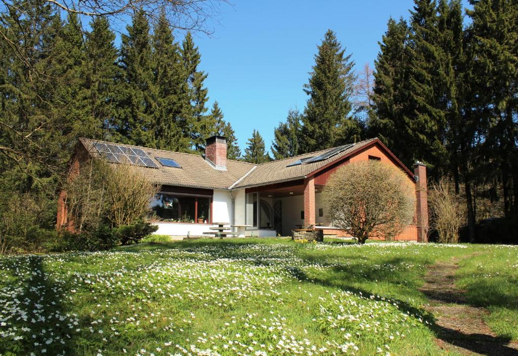ハーネンクレー・ボックスヴィーゼにあるWaldhaus Hahnenkleeの屋根に太陽光パネルを敷いた家