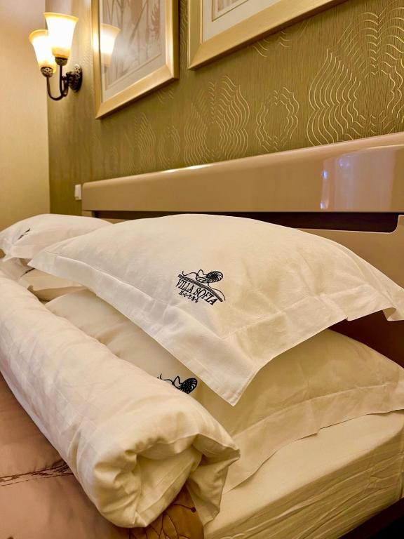 Postel nebo postele na pokoji v ubytování Villa-Sofia Mini-hotel
