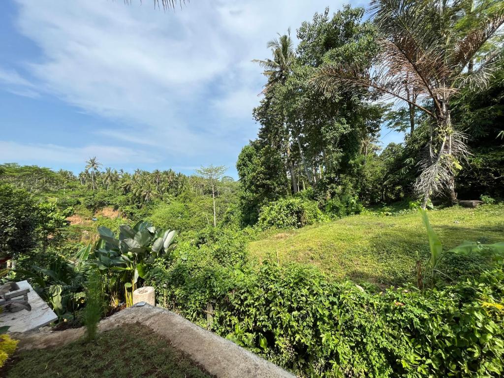 Zahrada ubytování D'Nanda mini hotel Ubud