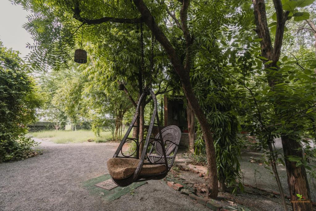 Zahrada ubytování Jawai Greens