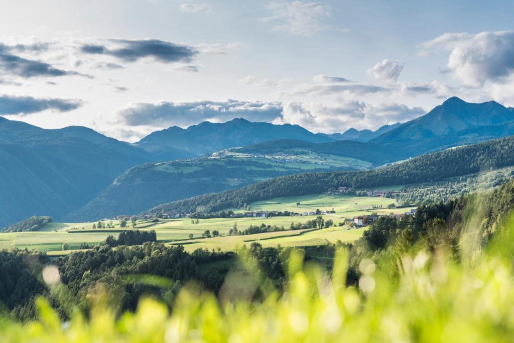 Príroda v okolí apartmánu