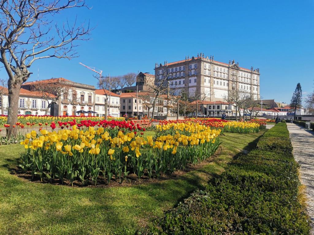 Villa Amor Perfeito - Apartment - Ground Floor
