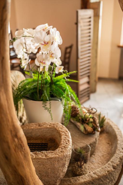 Fotografie z fotogalerie ubytování Locanda Poncini v destinaci Maggia