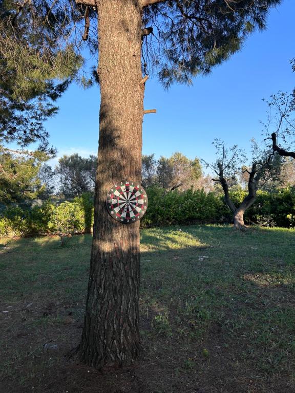 un arbre avec une cible sur son tronc dans l'établissement Villa Kalorama-private pool & Hot Tub, à San Vito dei Normanni