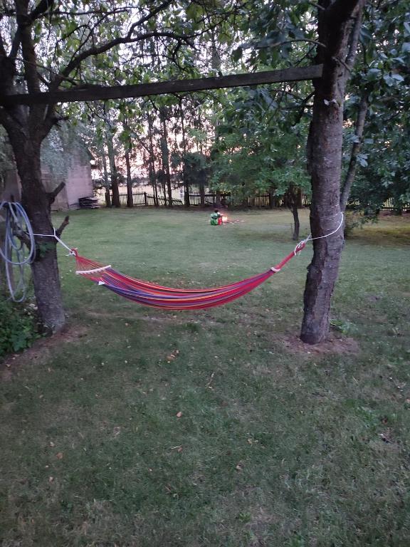 Vonkajšia záhrada v ubytovaní Dom na Podlasiu