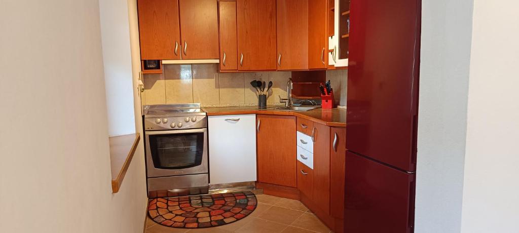 Kuchyň nebo kuchyňský kout v ubytování Apartment Perunika
