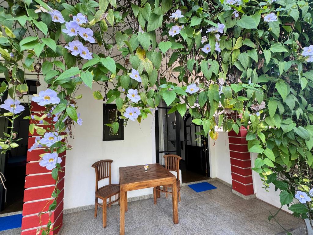 Zahrada ubytování Royal Breeze Negombo