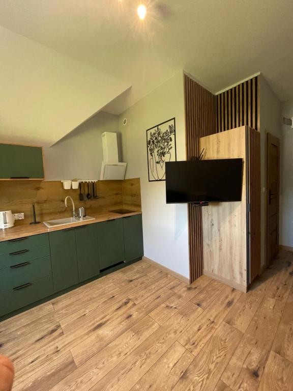 een keuken met groene kasten en een spoelbak bij Przystanek Karpacz - Komuny Paryskiej 3 in Karpacz