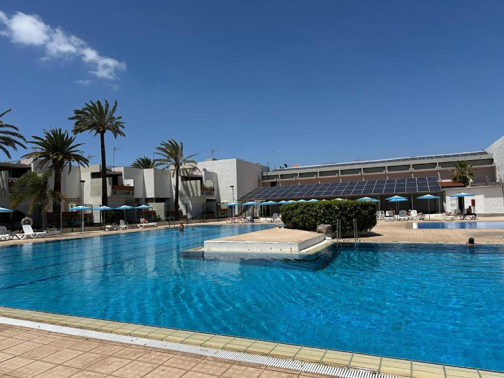 Una gran piscina azul con palmeras y un edificio. en Everything You Need All Right Here, en Las Galletas