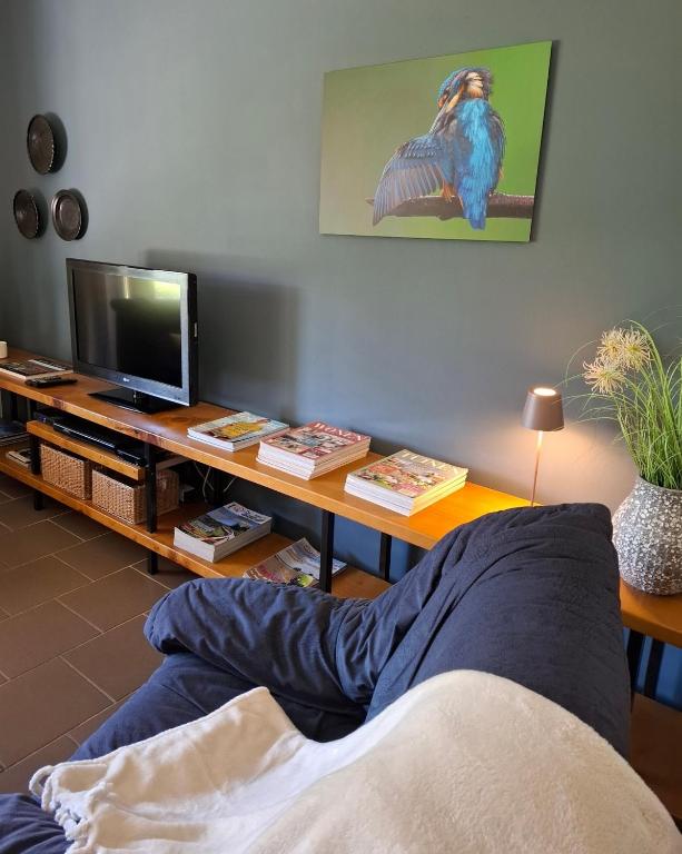 TV a/nebo společenská místnost v ubytování Tisza Lodge B&B - Panzió