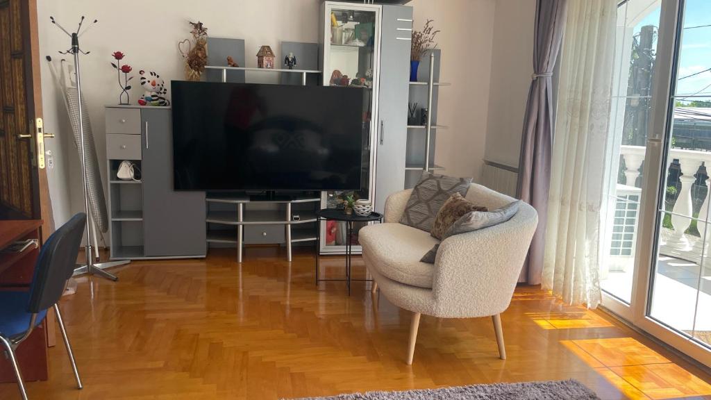 TV a/nebo společenská místnost v ubytování Meszko Park House Budapest