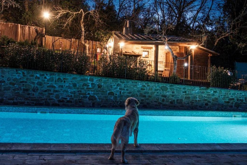 Bazén v ubytování Le Case Gialle Resort nebo v jeho okolí