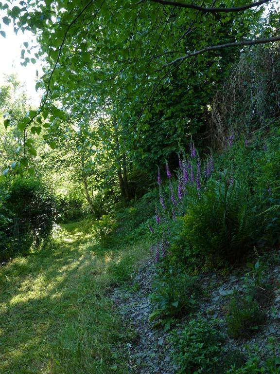 Pretty sunny cottage, Machynlleth - Appartement 2 Chambres