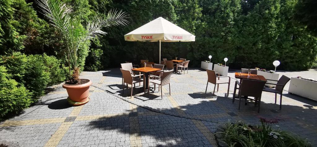 Zahrada ubytování Hotel Daria