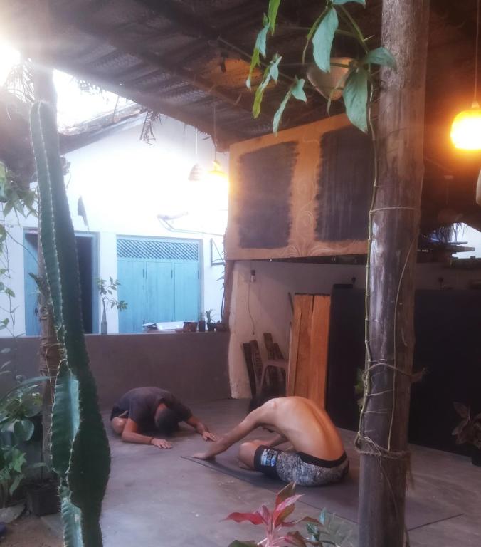 Zahrada ubytování Cactus Arugambay